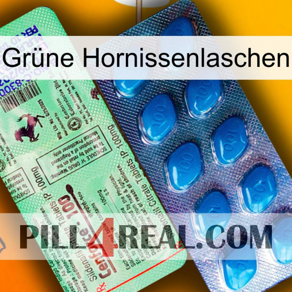 Grüne Hornissenlaschen new02